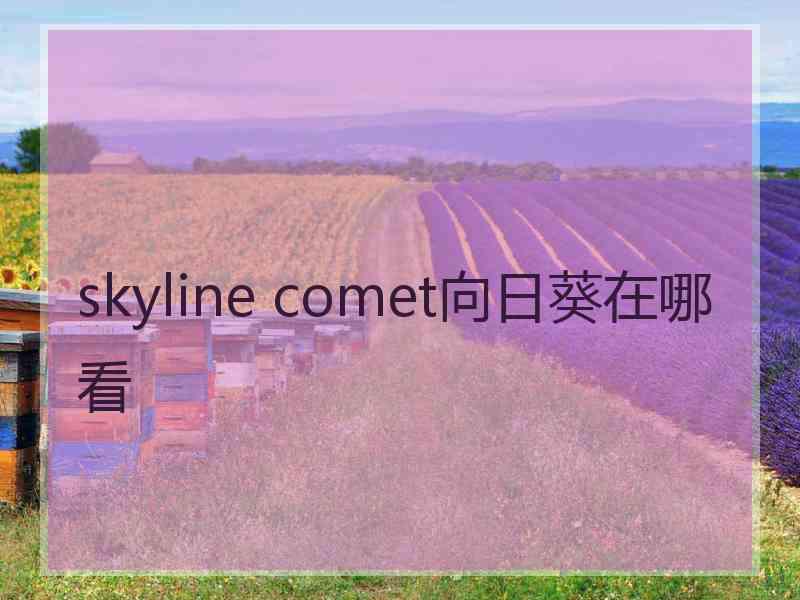 skyline comet向日葵在哪看