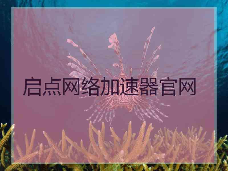 启点网络加速器官网