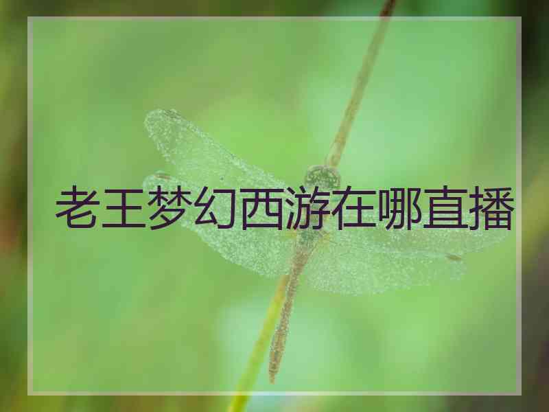 老王梦幻西游在哪直播