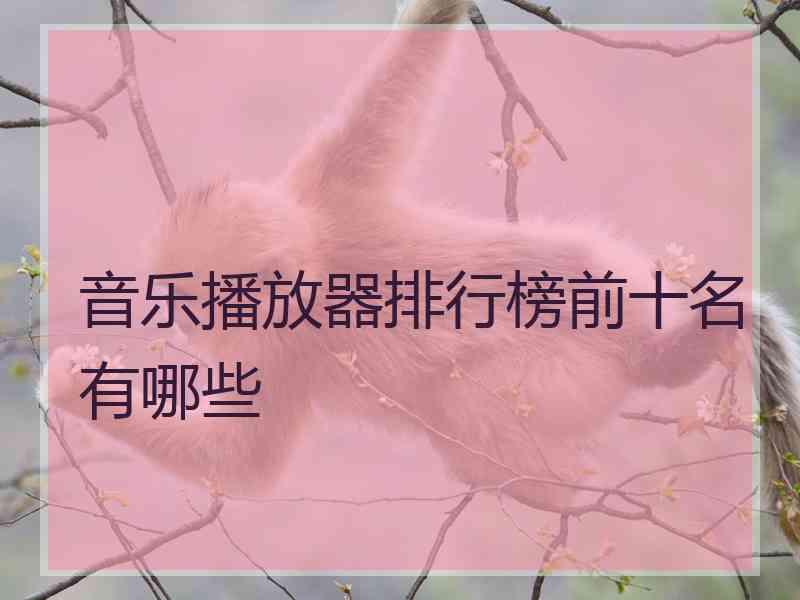 音乐播放器排行榜前十名有哪些