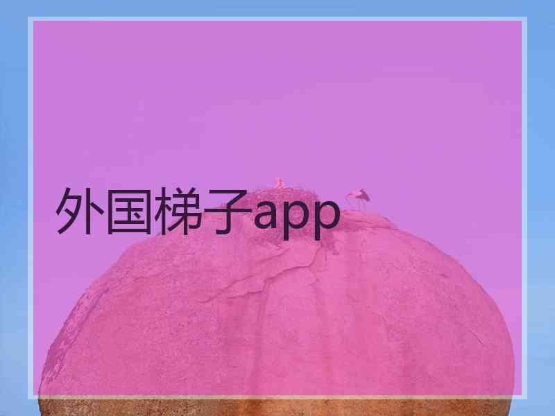 外国梯子app