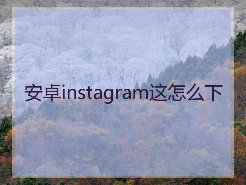 安卓instagram这怎么下