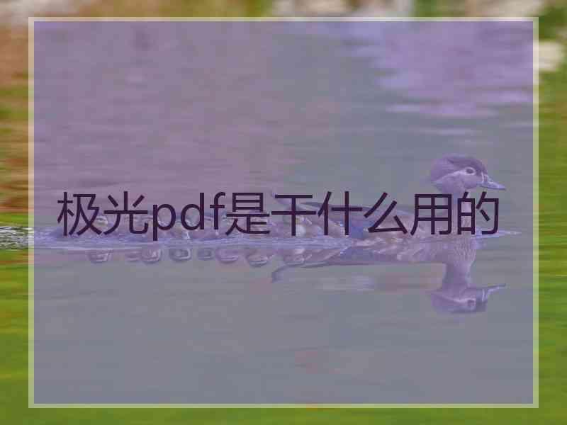 极光pdf是干什么用的