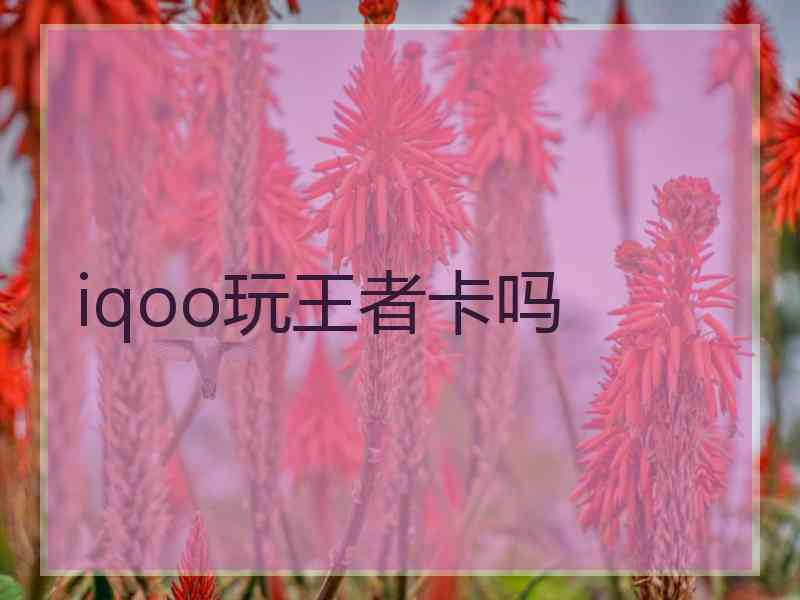 iqoo玩王者卡吗