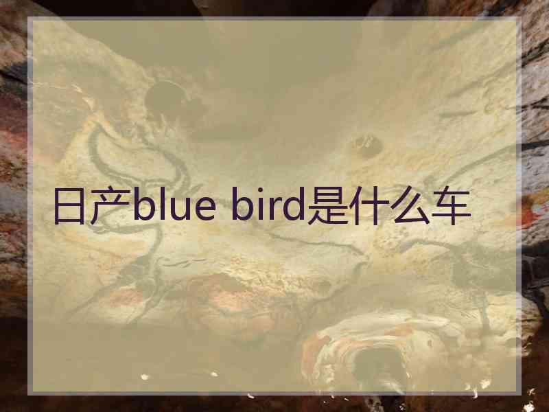 日产blue bird是什么车