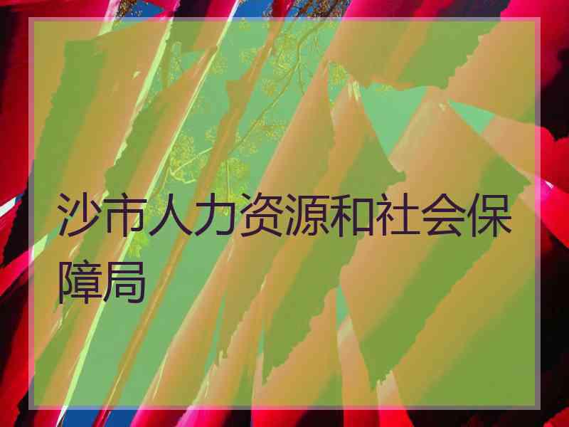 沙市人力资源和社会保障局