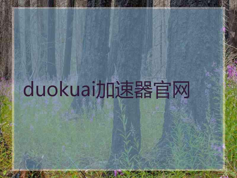 duokuai加速器官网