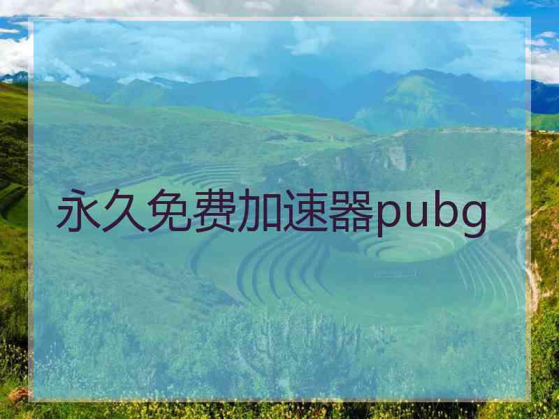 永久免费加速器pubg