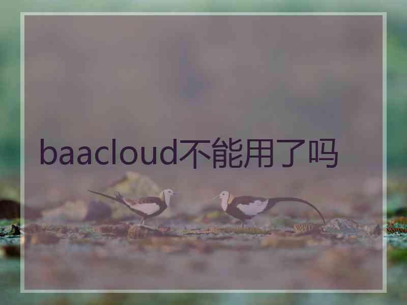 baacloud不能用了吗