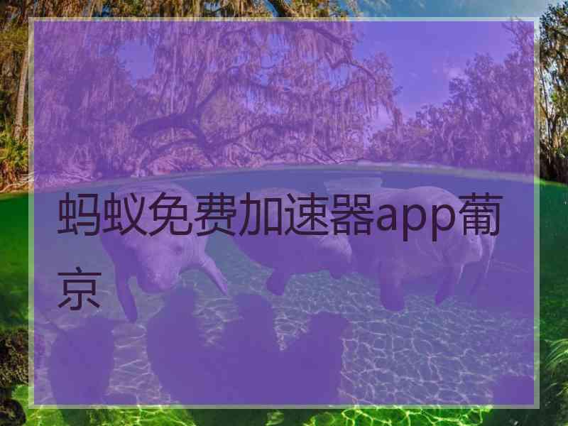 蚂蚁免费加速器app葡京