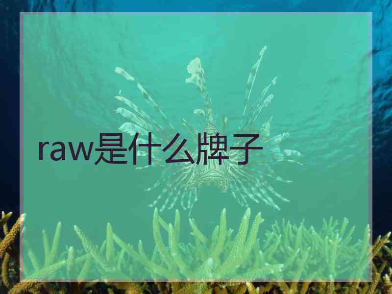 raw是什么牌子