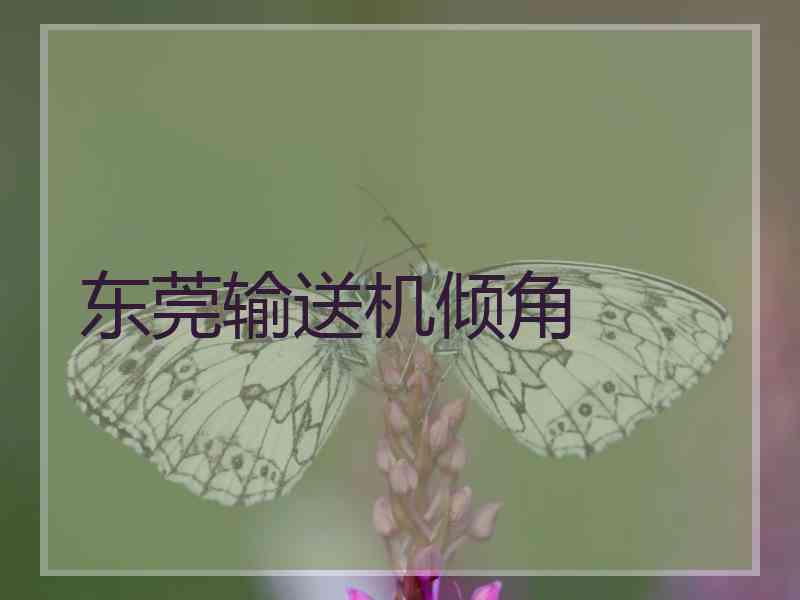 东莞输送机倾角