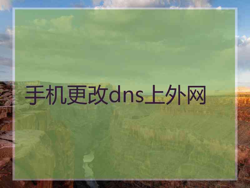 手机更改dns上外网