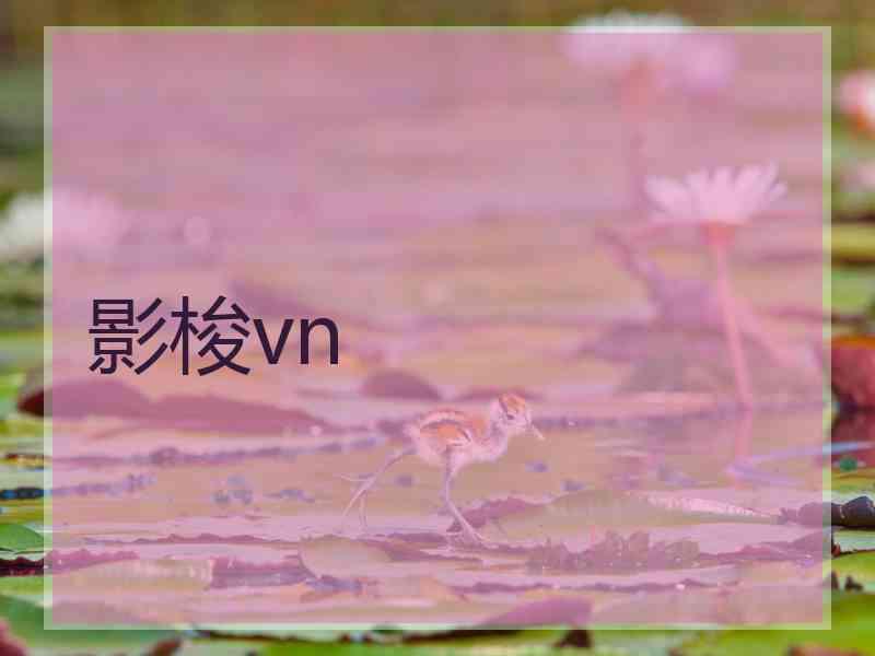 影梭vn