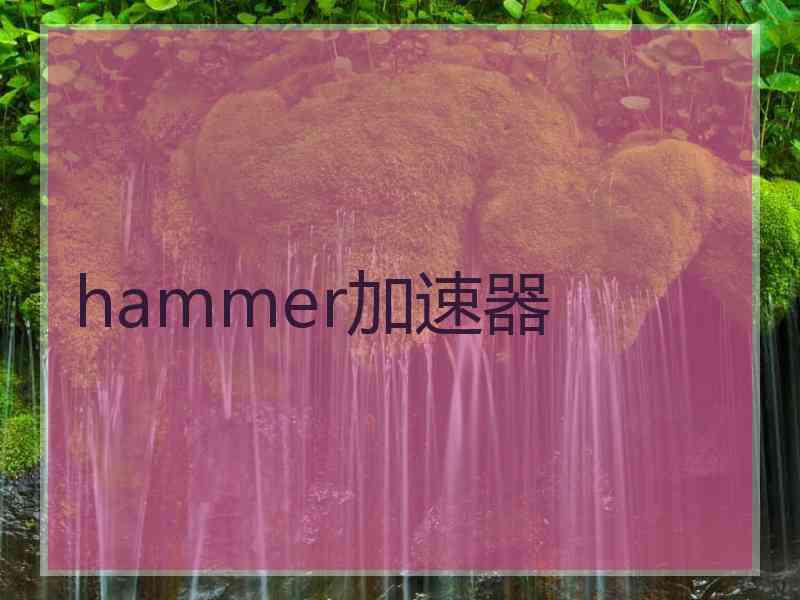 hammer加速器