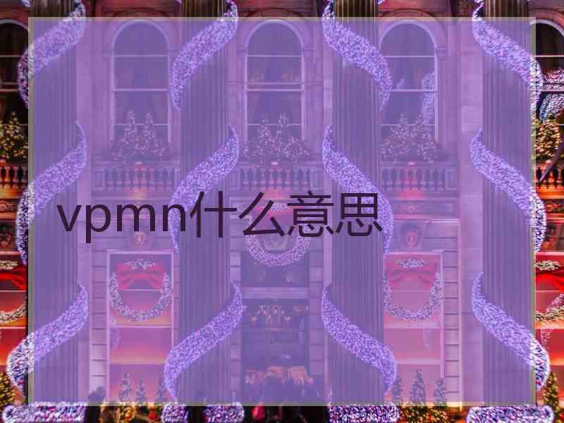 vpmn什么意思