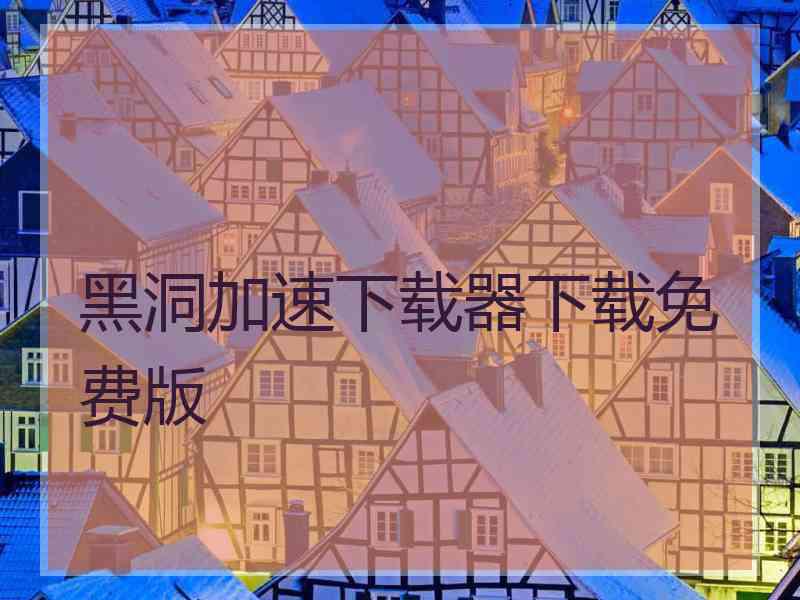 黑洞加速下载器下载免费版