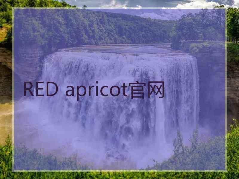 RED apricot官网