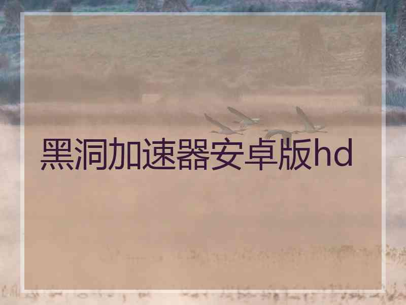 黑洞加速器安卓版hd