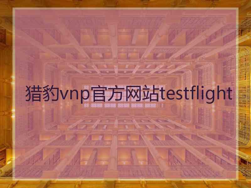 猎豹vnp官方网站testflight