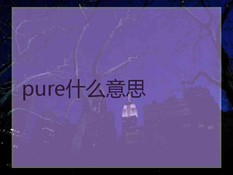 pure什么意思