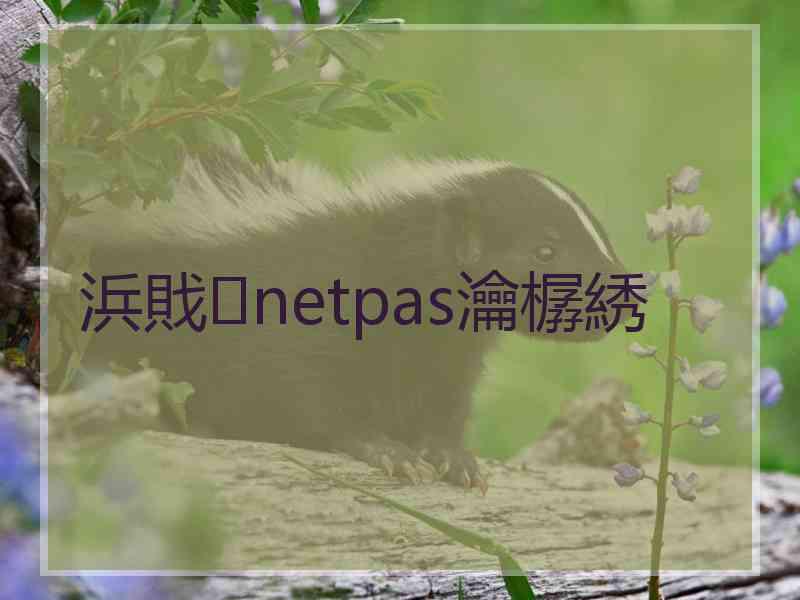 浜戝netpas瀹樼綉