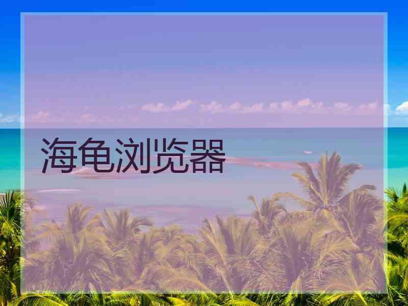 海龟浏览器