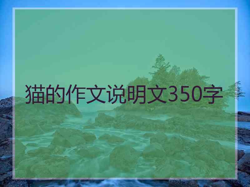 猫的作文说明文350字