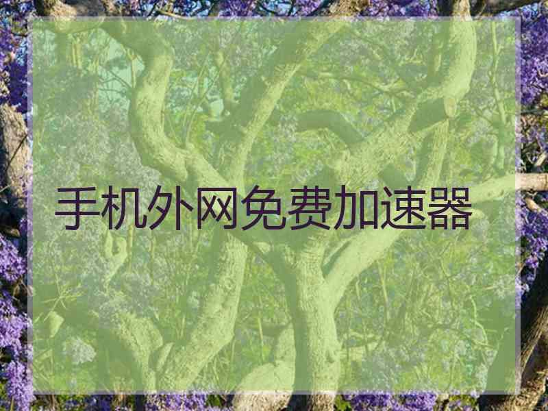 手机外网免费加速器