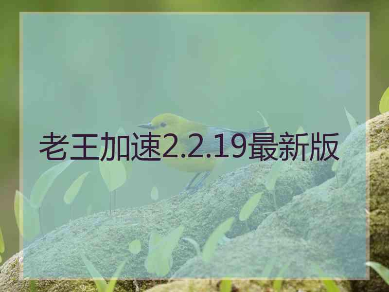 老王加速2.2.19最新版