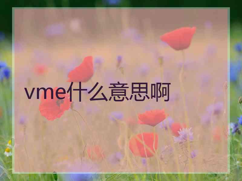 vme什么意思啊