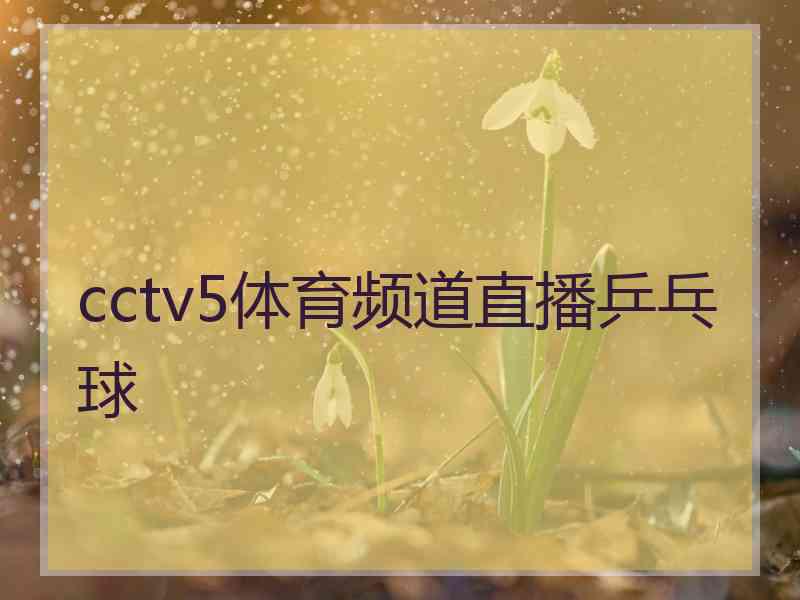 cctv5体育频道直播乒乓球