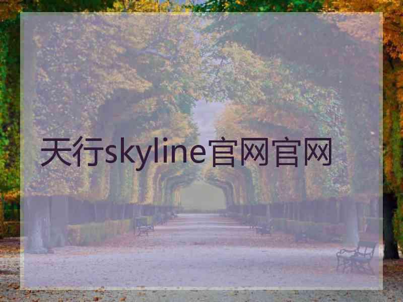 天行skyline官网官网