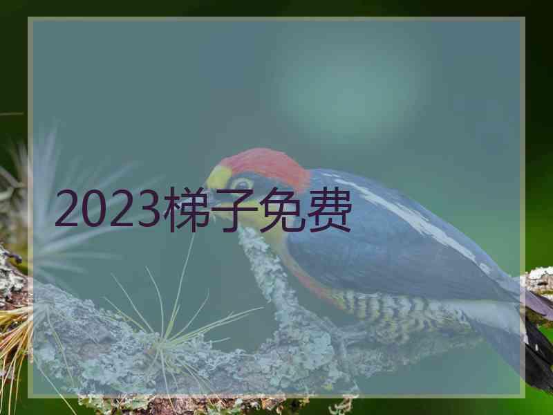 2023梯子免费