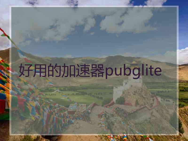 好用的加速器pubglite