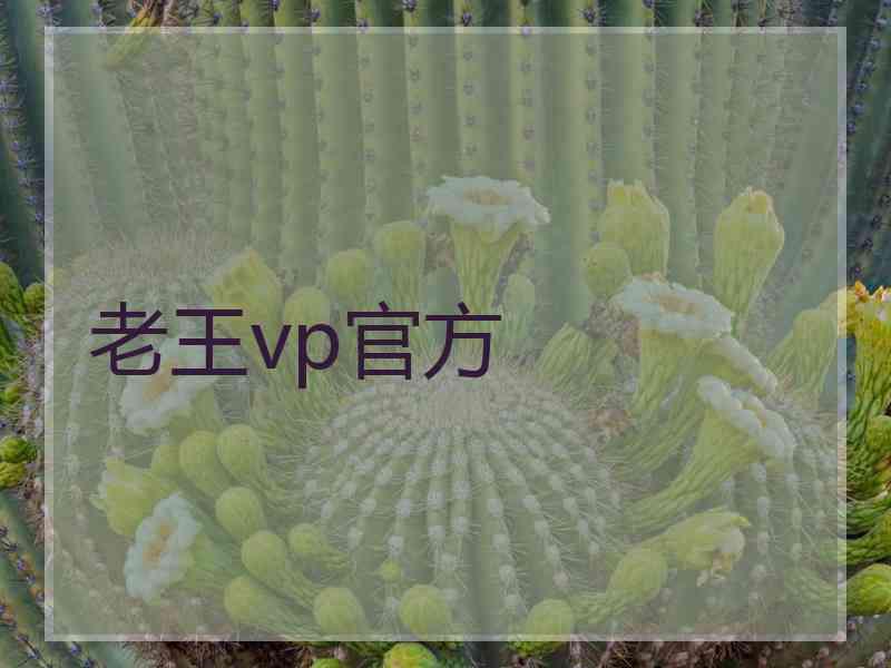 老王vp官方