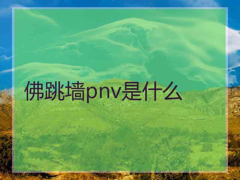 佛跳墙pnv是什么