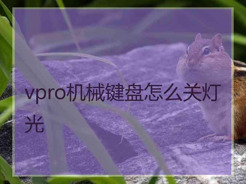 vpro机械键盘怎么关灯光