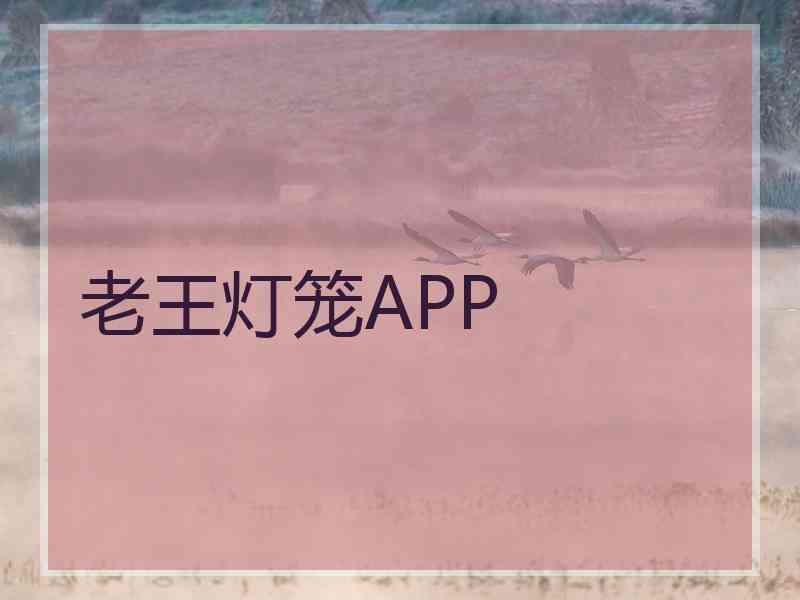 老王灯笼APP