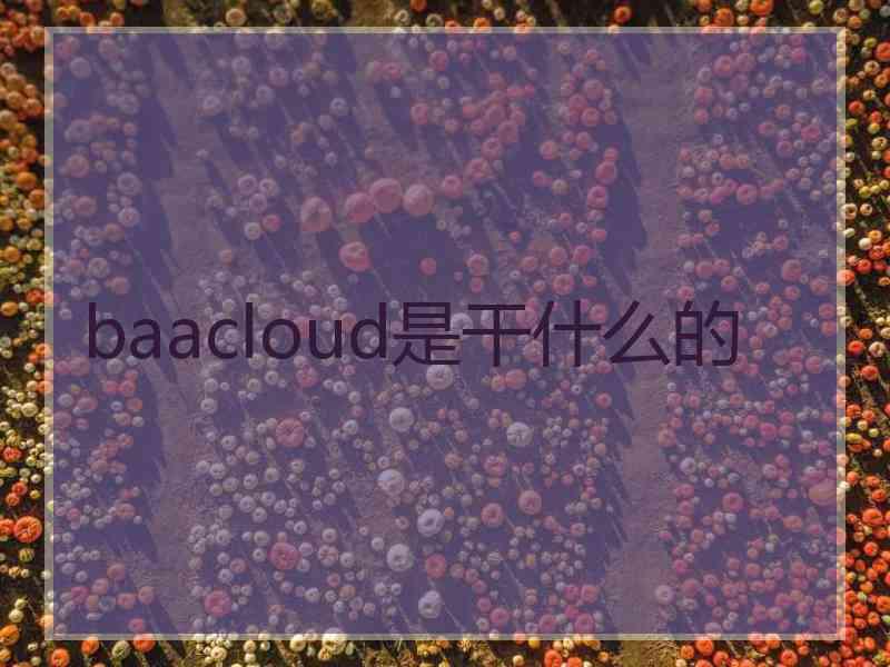 baacloud是干什么的