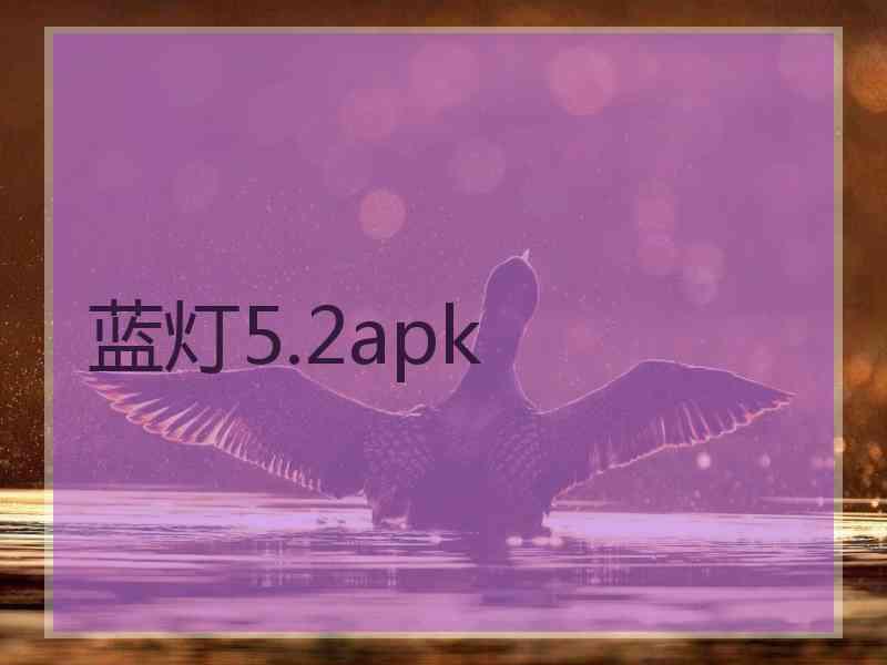 蓝灯5.2apk