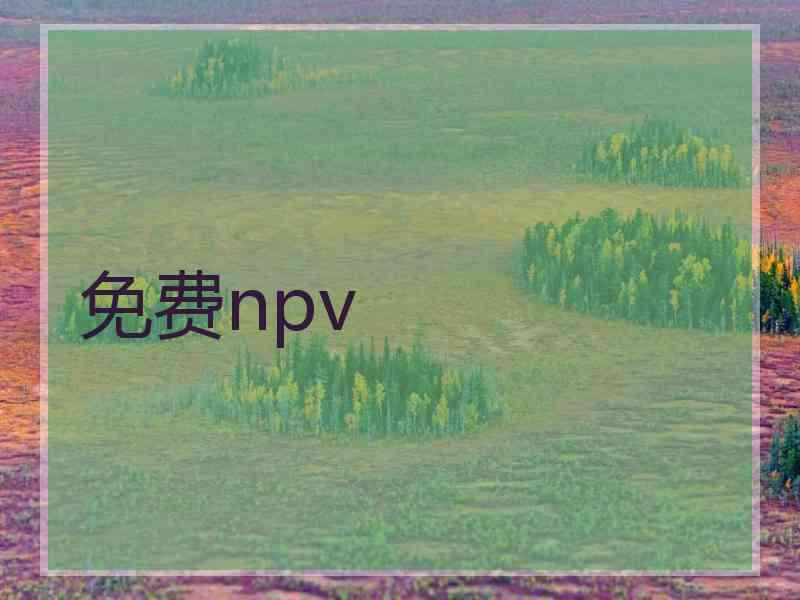 免费npv