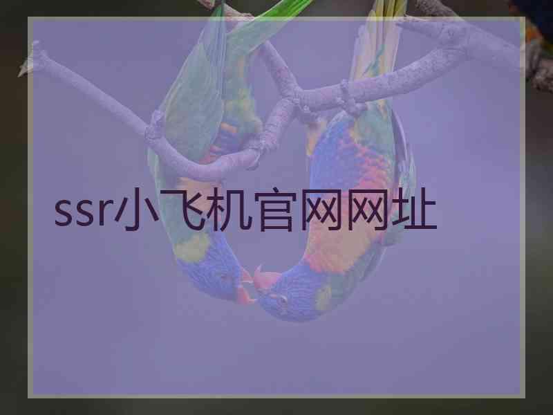 ssr小飞机官网网址