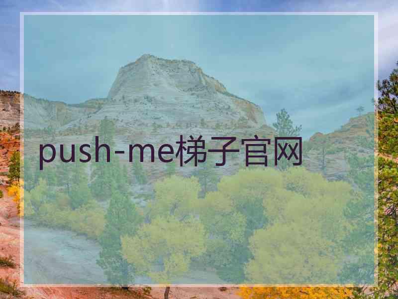 push-me梯子官网