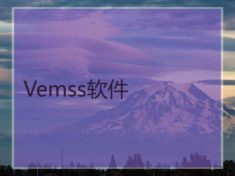 Vemss软件