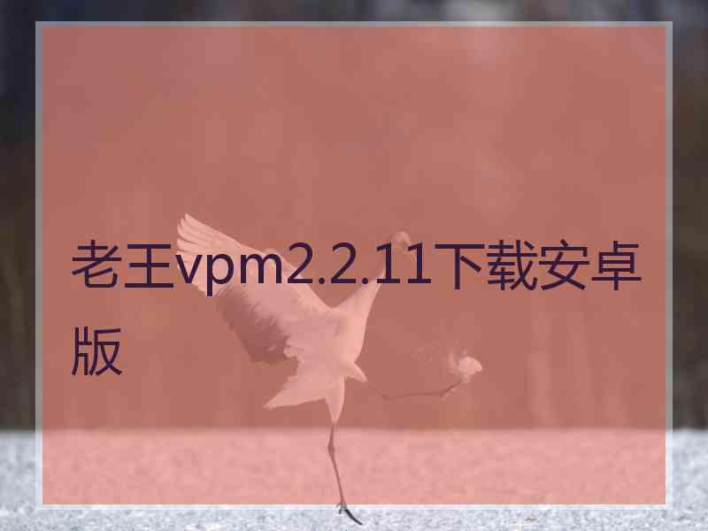 老王vpm2.2.11下载安卓版