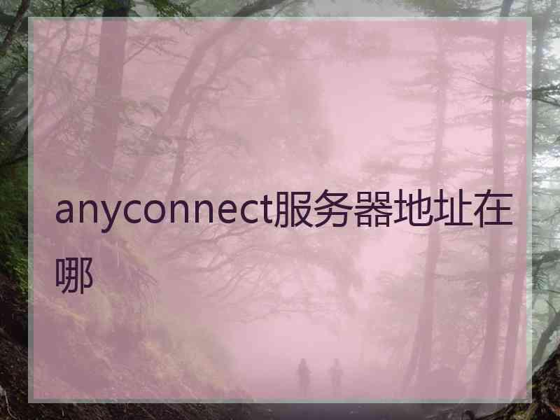 anyconnect服务器地址在哪