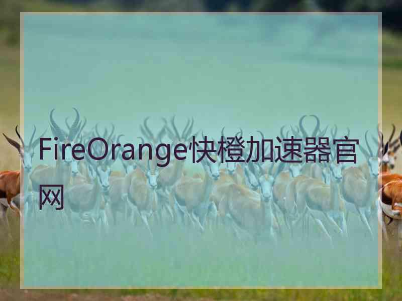 FireOrange快橙加速器官网