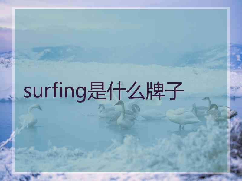 surfing是什么牌子