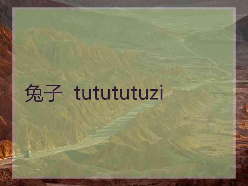 兔子  tutututuzi